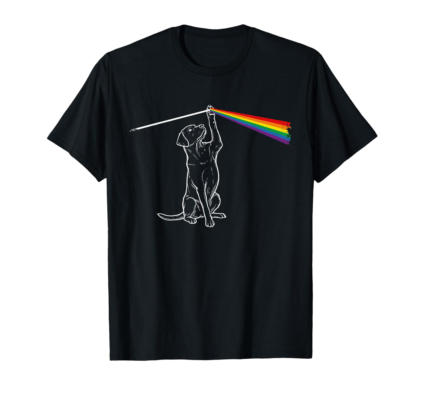 Playing with Light Dog Rainbow Men Kids Women T-Shirt