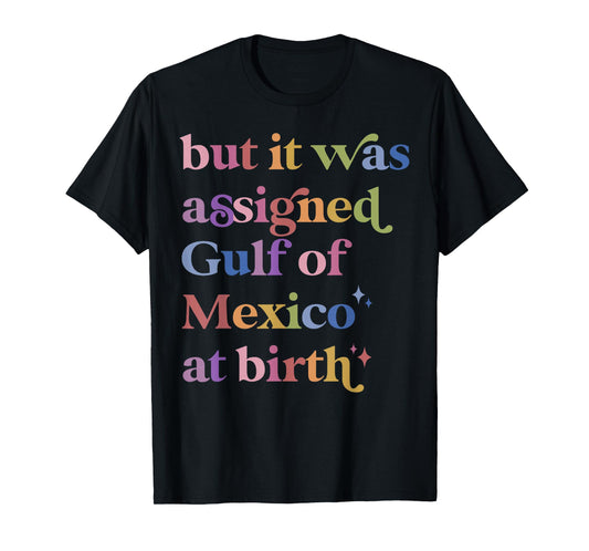 But It Was Assigned Gulf of Mexico at Birth T-Shirt