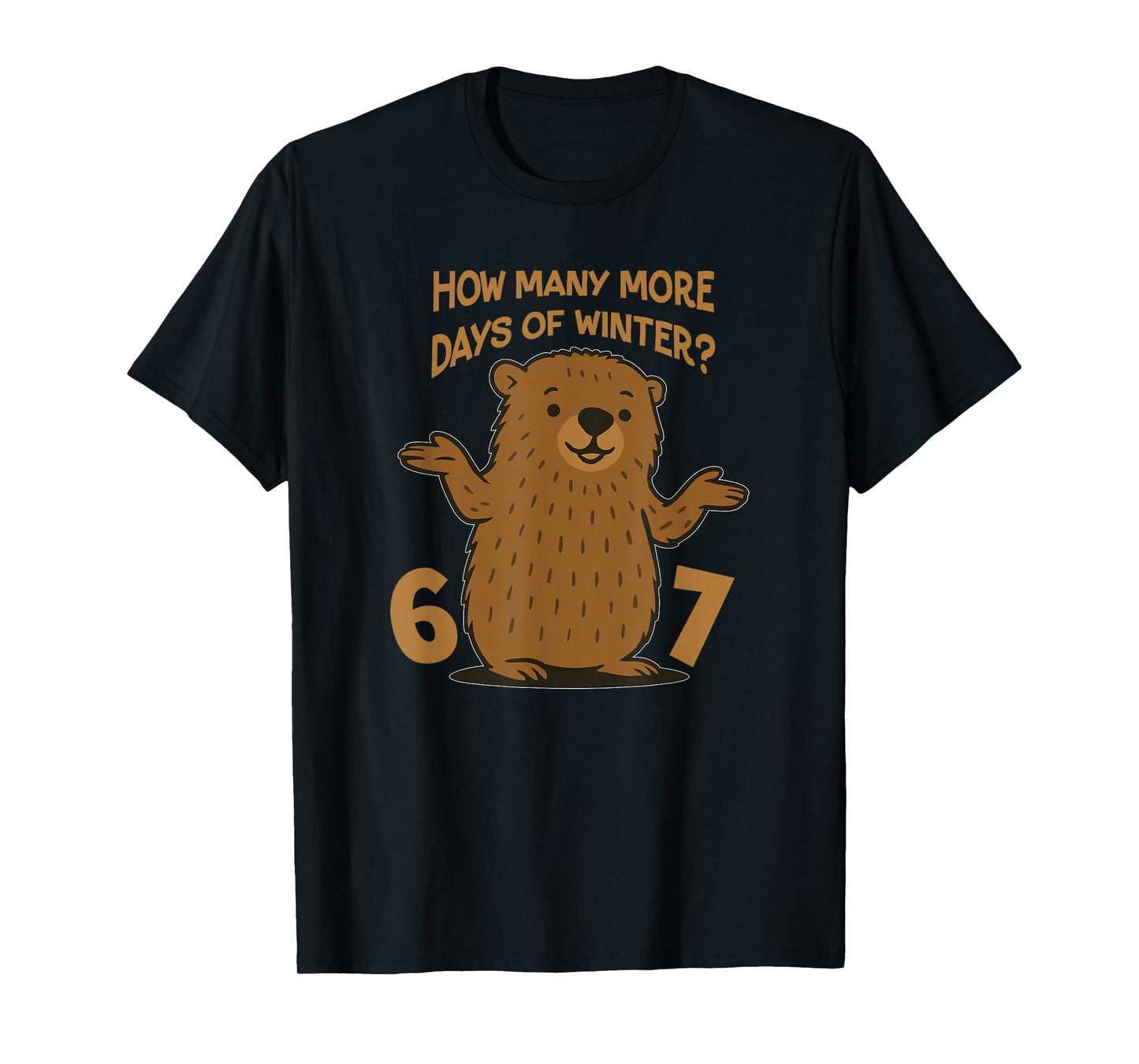 67 Groundhog Day Funny School Teacher Boy 6 7 T-Shirt