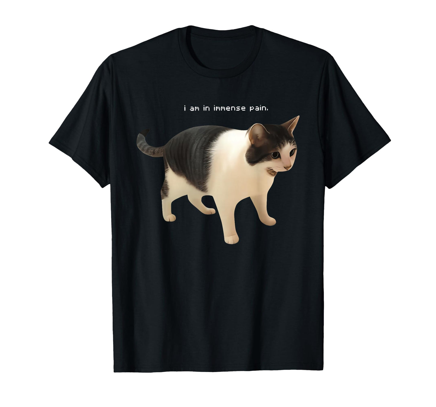 I Am in Immense Pain Funny Cat Meme Quote T-Shirt