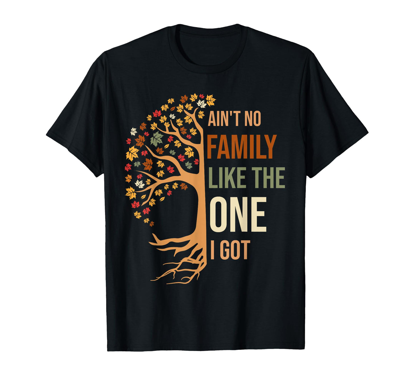 Ain't No Family Like The One I Got Funny Family Reunion 2024 T-Shirt