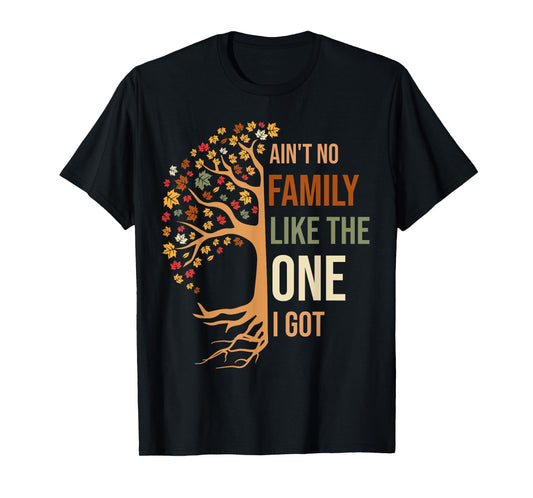 Ain't No Family Like The One I Got Funny Family Reunion 2024 T-Shirt