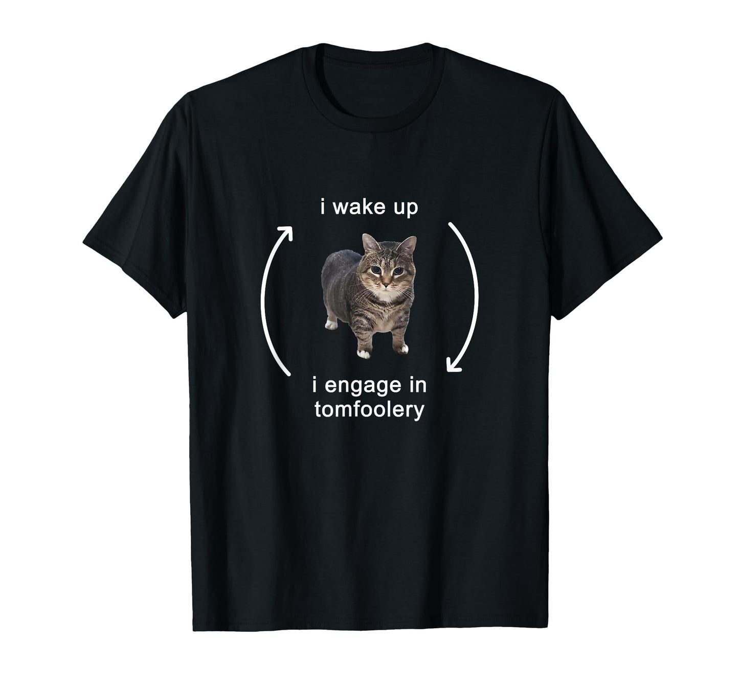 I Wake Up I Engage In Tomfoolery Silly Cat Meme T-Shirt
