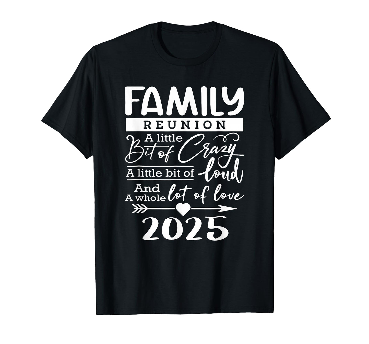 Retro 2025 Family Reunion A Little Bit Of Crazy Funny Family T-Shirt