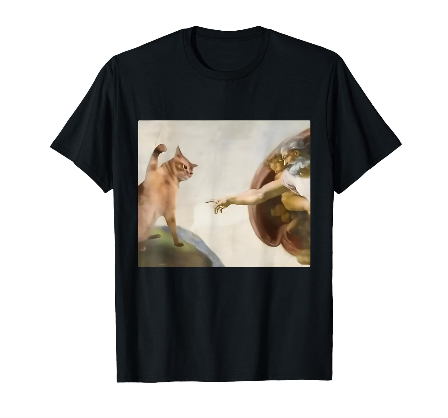 Funny Cat Slap Creation of Adam Cat Meme Stupid Brain Rot T-Shirt
