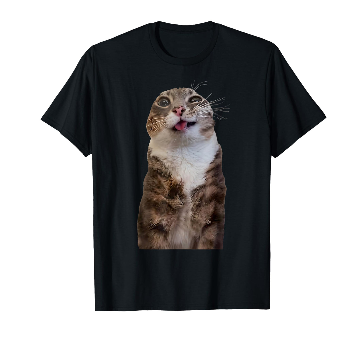 Funny Rigby Cat Silly Viral Meme T-Shirt