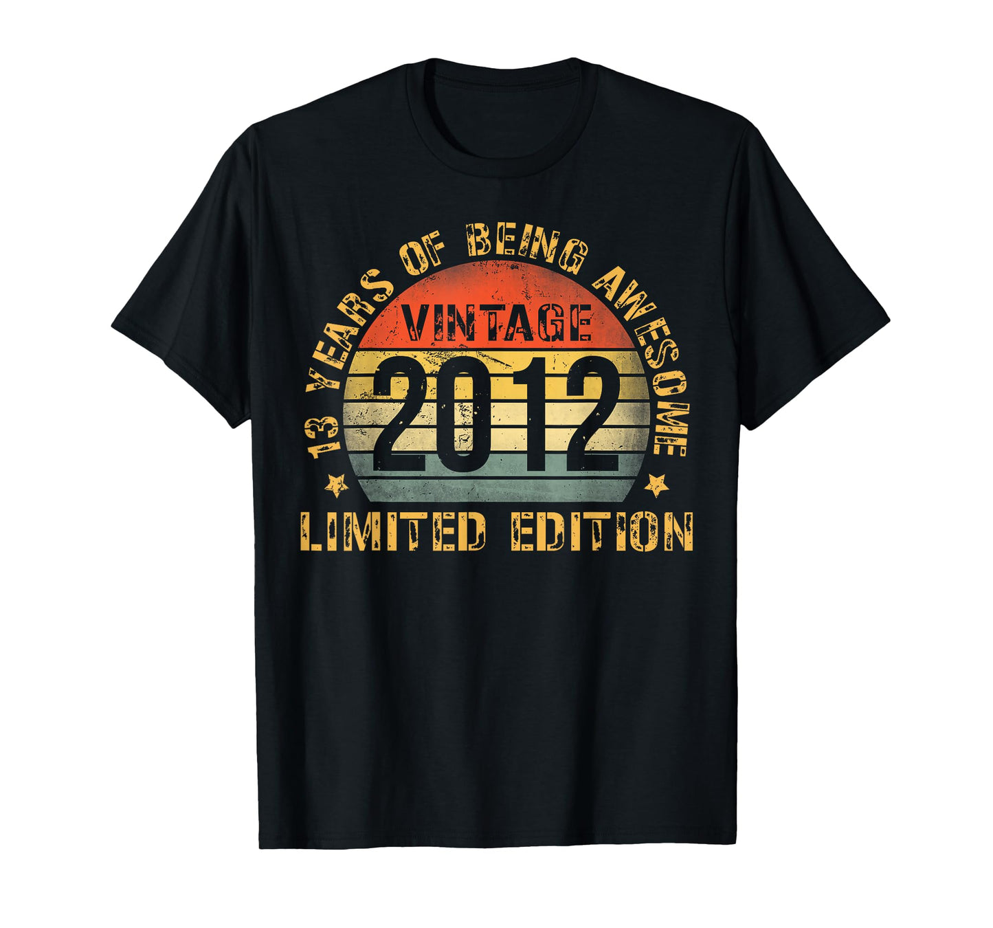 13 Year Old BDay Decorations Son Boy 13yr 2012 13th Birthday T-Shirt