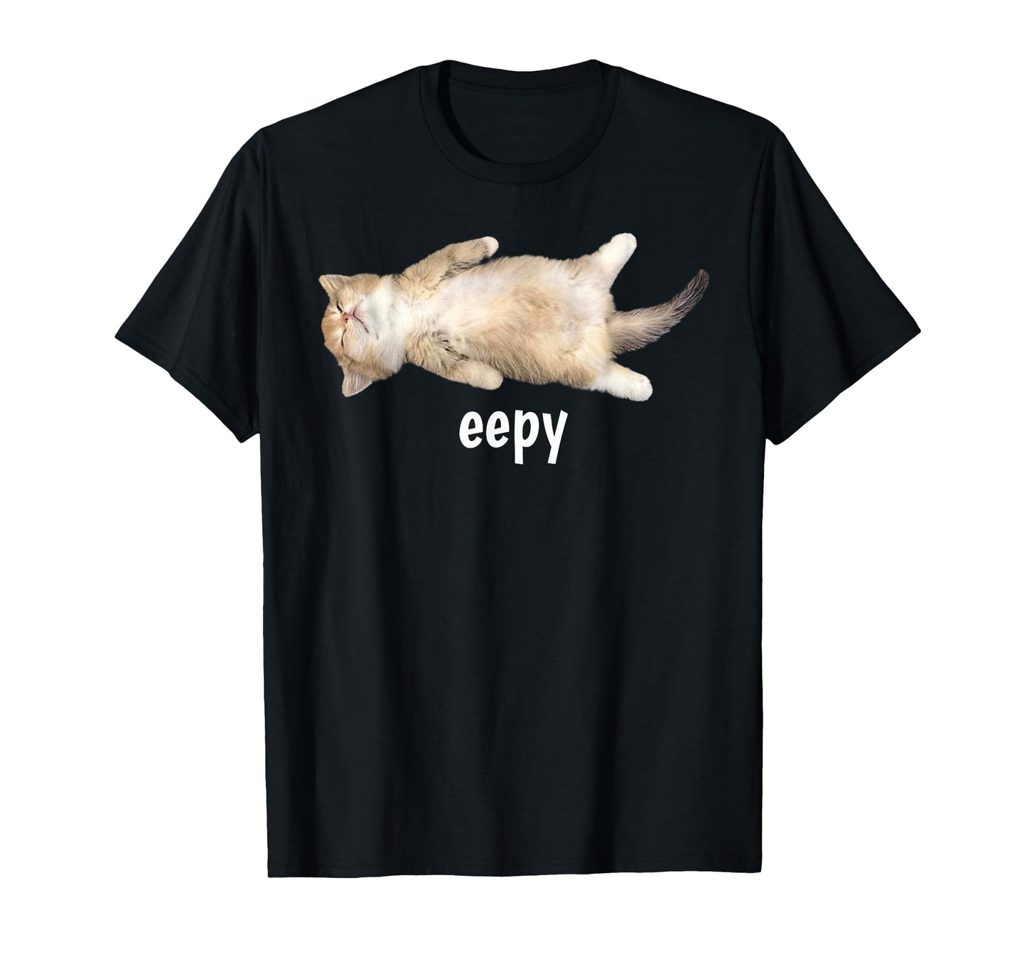 Eepy Cat Meme Funny Sleepy Cat Viral Gen Z Sarcastic Humor T-Shirt