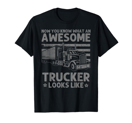Best Truck Driver Art for Men Dad Women Trucking CDL Trucker T-Shirt