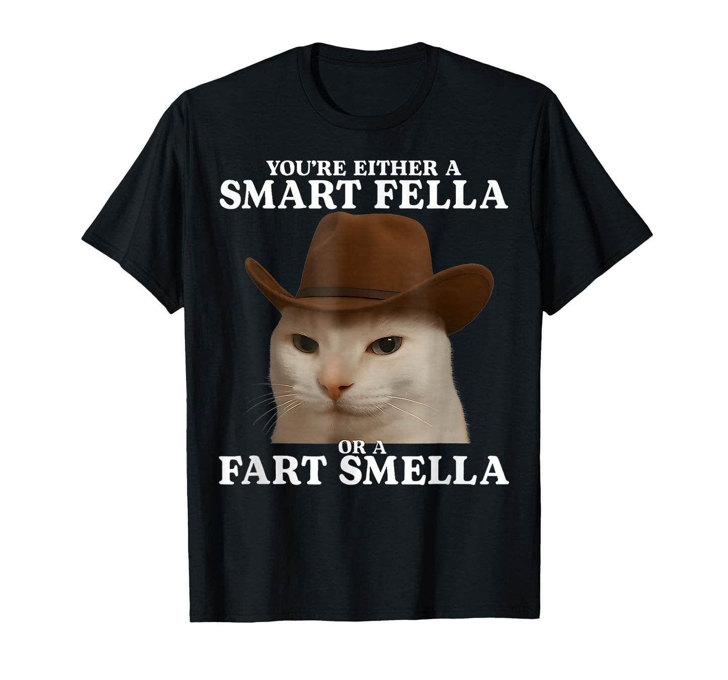 You're Either a Smart Fella or a Fart Smella Funny Cat Meme T-Shirt