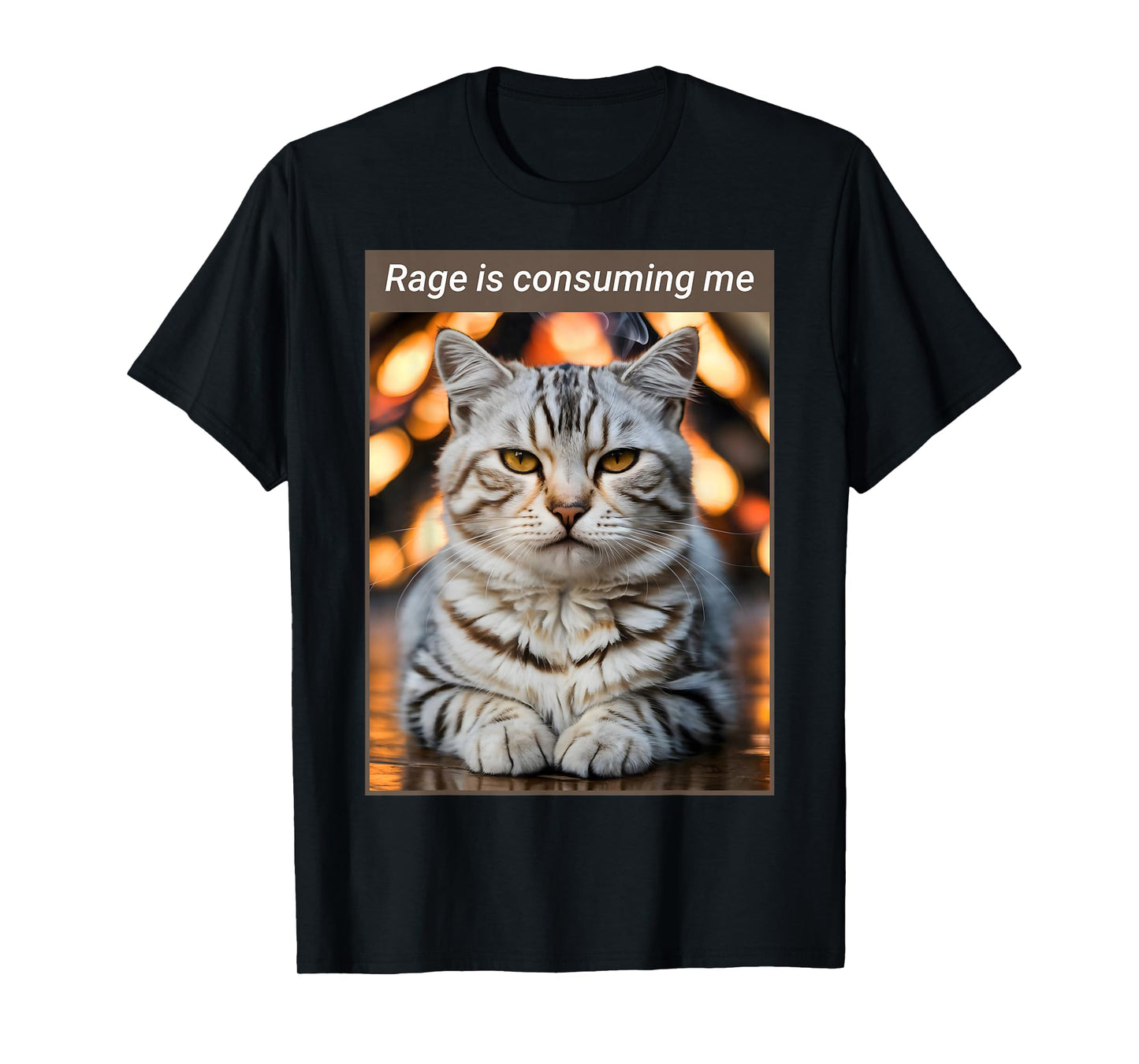 Rage is Consuming Me - Funny Cat T-Shirt