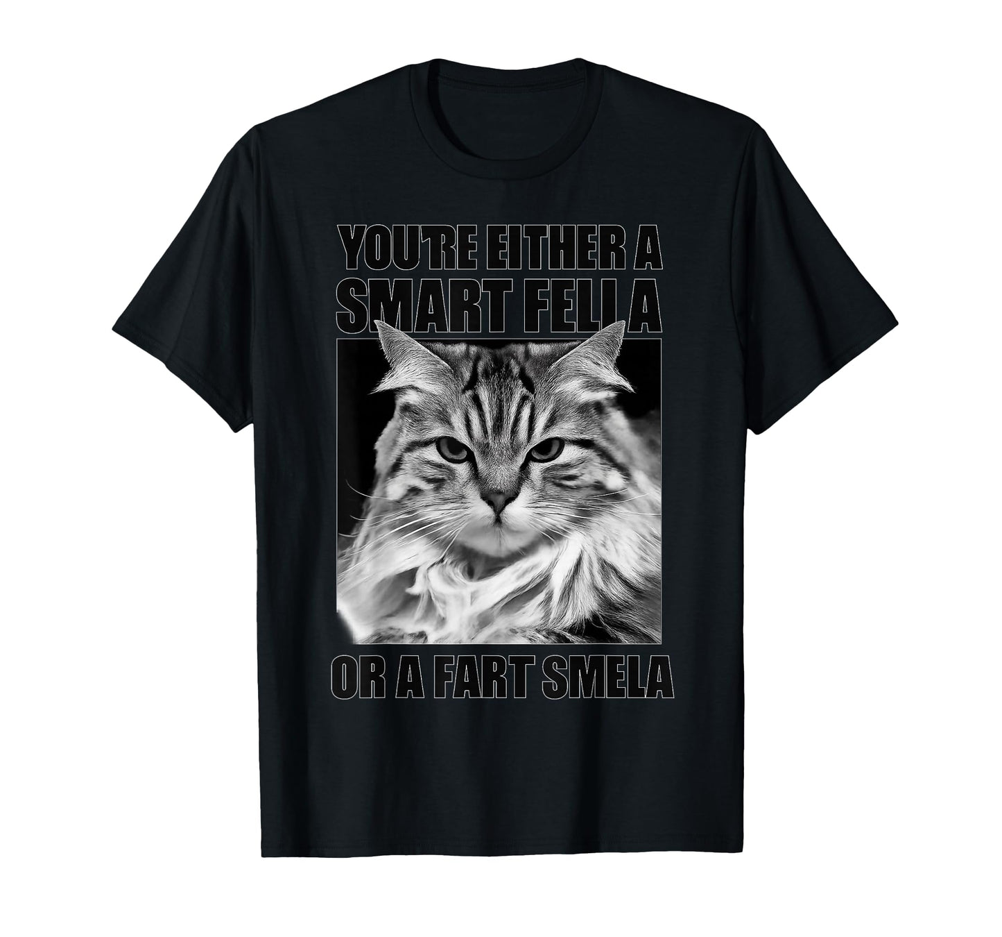 You're Either A Smart Fella Or A Fart Smella for Cats Lovers T-Shirt