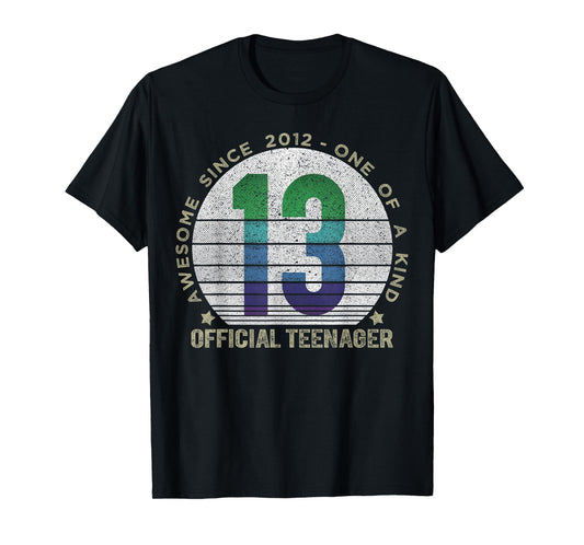 Official Teenager 13 Year Old Gifts Vintage 13th Birthday T-Shirt