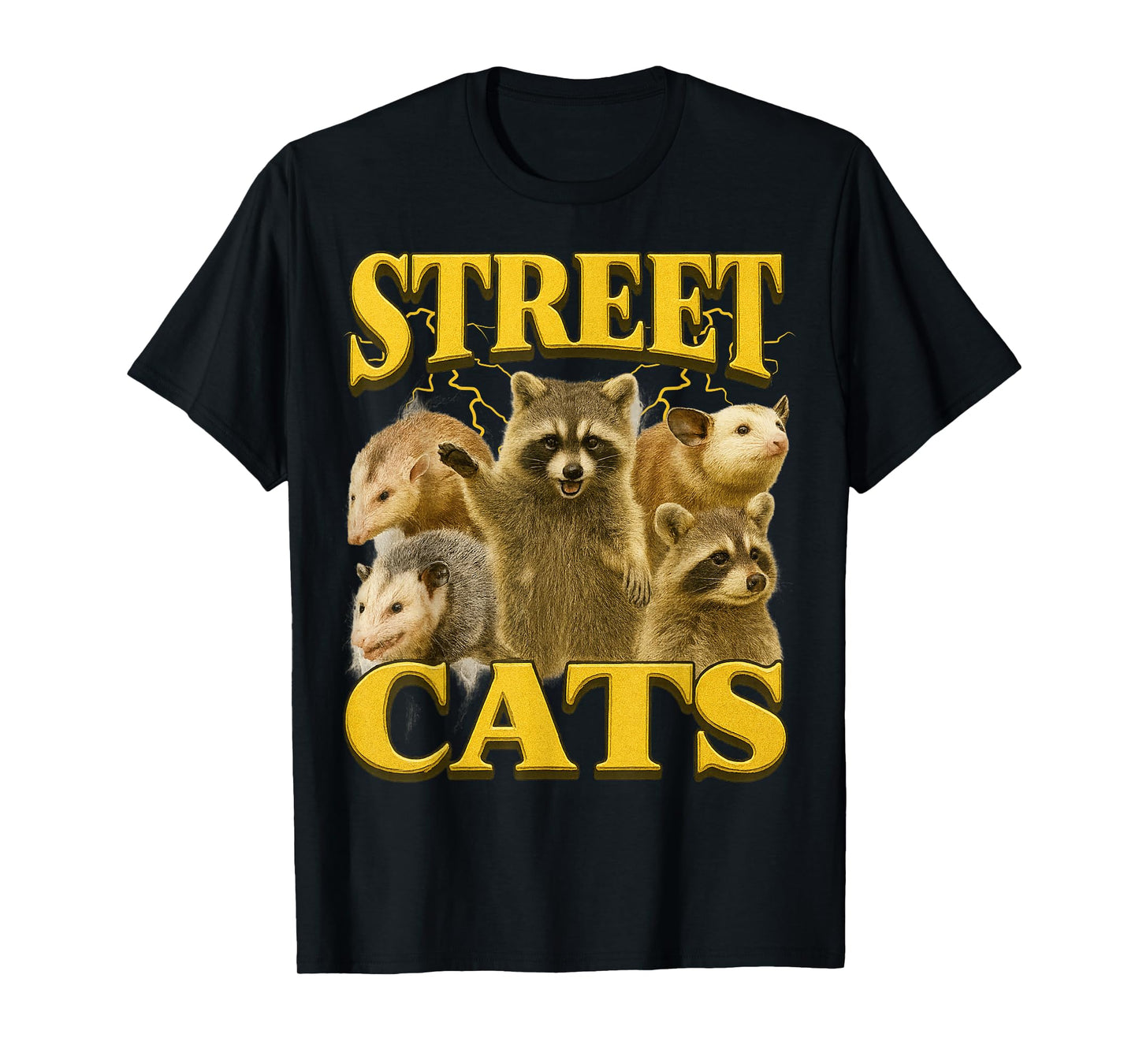 Funny Street Cats Funny Raccoon Bootleg Funny 90's Memes T-Shirt