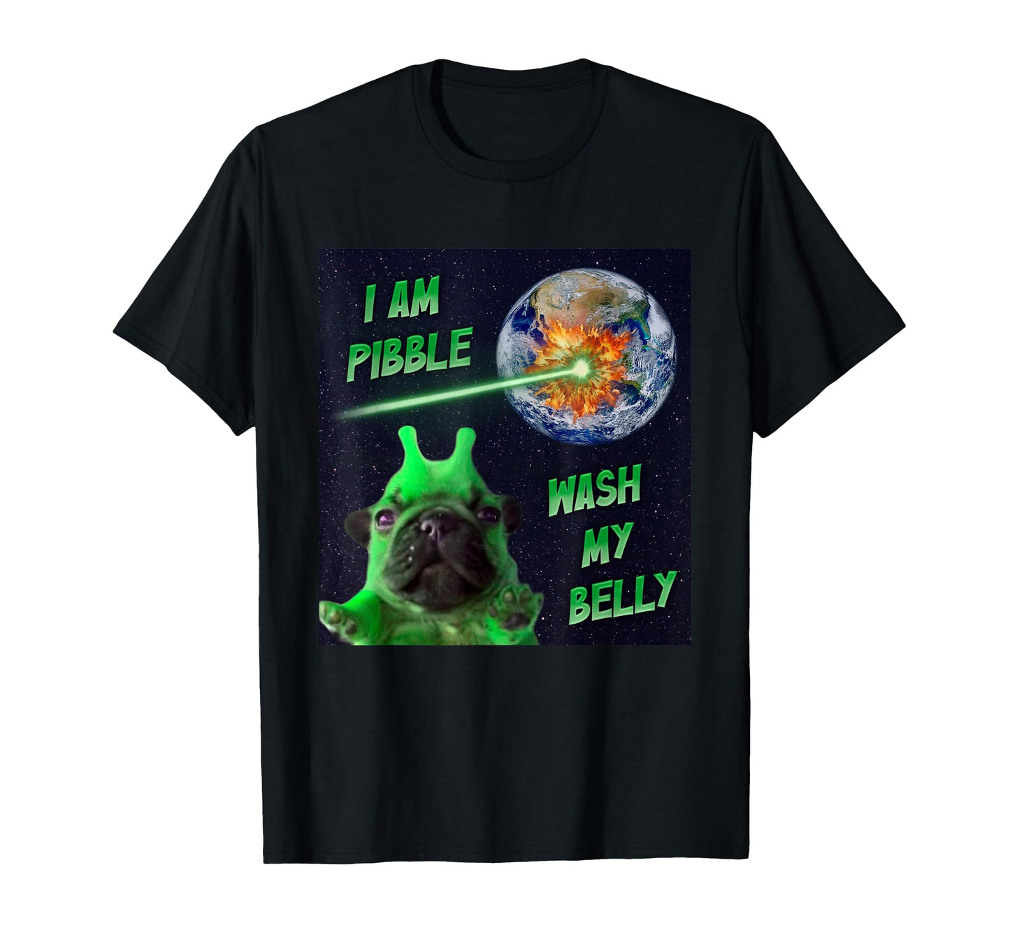 Alien Pibble Funny Brainrot Dog Meme Space I Am Pibble T-Shirt