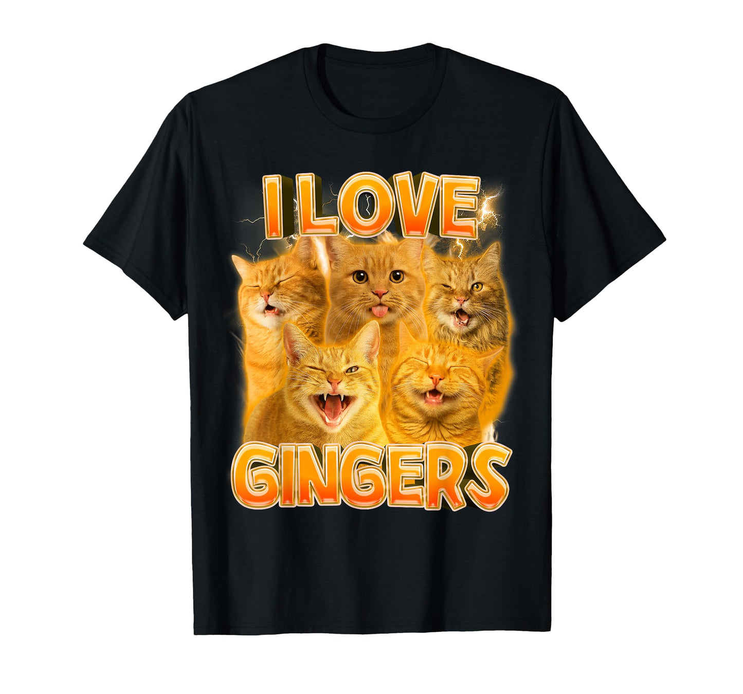 Ginger Cat Lover Cat Mom Cat Person Funny I Love Gingers T-Shirt